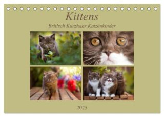 Kittens - Britisch Kurzhaar Katzenkinder (Tischkalender 2025 DIN A5 quer), CALVENDO Monatskalender