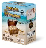 TRESOR DE PIRATE A DETERRER