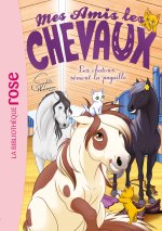 Mes amis les chevaux 46