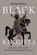Black Knights – Arabic Epic and the Making of Medieval Race