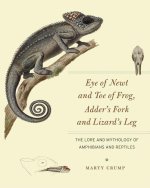 Eye of Newt and Toe of Frog, Adder`s Fork and Li – The Lore and Mythology of Amphibians and Reptiles