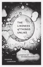 The Likeness of Things Unlike – A Poetics of Incommensurability
