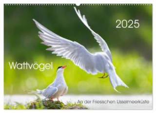 Wattvögel an der Friesischen IJsselmeerküste (Wandkalender 2025 DIN A2 quer), CALVENDO Monatskalender