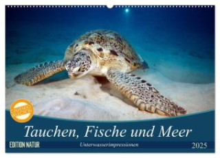 Tauchen, Fische und Meer (Wandkalender 2025 DIN A2 quer), CALVENDO Monatskalender