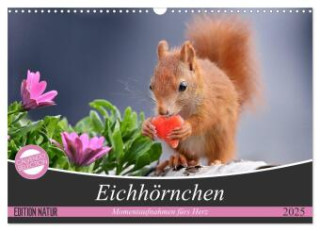 Eichhörnchen Momentaufnahmen fürs Herz (Wandkalender 2025 DIN A3 quer), CALVENDO Monatskalender