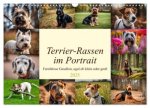 Terrier-Rassen im Portrait (Wandkalender 2025 DIN A3 quer), CALVENDO Monatskalender