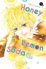 HONEY LEMON SODA V07