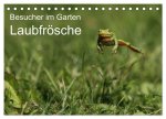 Besucher im Garten - Laubfrösche (Tischkalender 2025 DIN A5 quer), CALVENDO Monatskalender