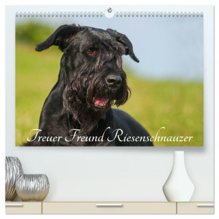 Treuer Freund Riesenschnauzer (hochwertiger Premium Wandkalender 2025 DIN A2 quer), Kunstdruck in Hochglanz