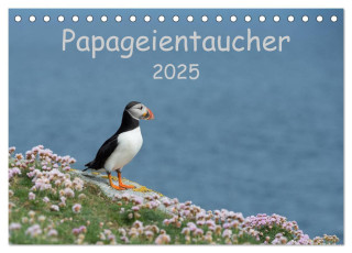 Papageientaucher 2025 (Tischkalender 2025 DIN A5 quer), CALVENDO Monatskalender