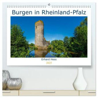 Burgen in Rheinland-Pfalz (hochwertiger Premium Wandkalender 2025 DIN A2 quer), Kunstdruck in Hochglanz