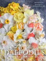 NARCISSUS