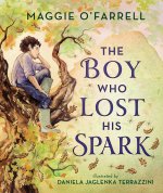 BOY WHO LOST HIS SPARK