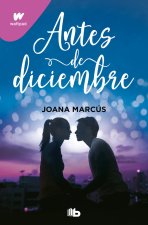 ANTES DE DICIEMBRE (EDICION REVISADA POR LA AUTORA)(EDICION LIMITADA)