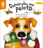 DETRAS DE UNA PELOTA