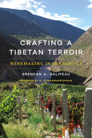 Crafting a Tibetan Terroir – Winemaking in Shangri–La