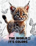 The world has lost it's colors