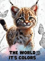 The world has lost it's colors
