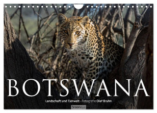 Botswana ? Landschaft und Tierwelt (Wandkalender 2025 DIN A4 quer), CALVENDO Monatskalender