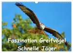 Faszination Greifvögel Schnelle Jäger (Wandkalender 2025 DIN A3 quer), CALVENDO Monatskalender