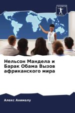 Nel'son Mandela i Barak Obama Vyzow afrikanskogo mira