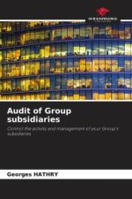 Audit of Group subsidiaries