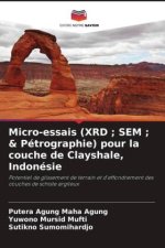 Micro-essais (XRD ; SEM ; & Pétrographie) pour la couche de Clayshale, Indonésie