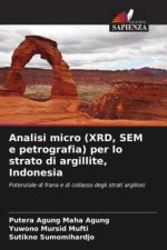 Analisi micro (XRD, SEM e petrografia) per lo strato di argillite, Indonesia