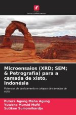 Microensaios (XRD; SEM; & Petrografia) para a camada de xisto, Indonésia