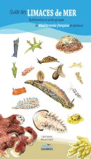 Guide des limaces de mer nudibranches et autres groupes de Méditerranée française et alentours