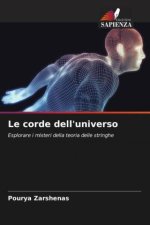Le corde dell'universo
