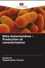 Bêta-Galactosidase : Production et caractérisation