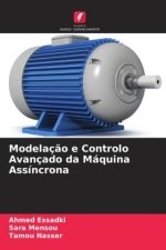 Modelação e Controlo Avançado da Máquina Assíncrona