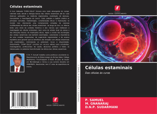 Células estaminais