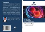 Stammzellen