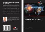 MISTERI MIRACOLOSI DELLA COSCIENZA NELL'ESISTENZA