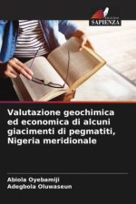 Valutazione geochimica ed economica di alcuni giacimenti di pegmatiti, Nigeria meridionale