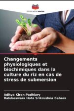 Changements physiologiques et biochimiques dans la culture du riz en cas de stress de submersion