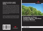 Production of Pinus elliottii Engelm. and Pinus caribaea Morelet