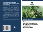 Chancen Herausforderungen Künftige Richtung für nachhaltige Biomaterialien