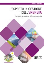 esperto in gestione dell’energia. Linee guida per realizzare l’efficienza energetica