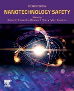 Nanotechnology Safety
