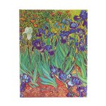 D2024/25 Van Gogh’s Irises Ultra VER