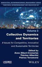 Collective Dynamics and Territories: 9 Issues for Competitive, Innovative and Sustainable Territorie s