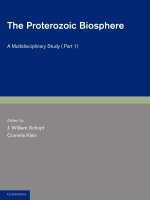The Proterozoic Biosphere - Part 1