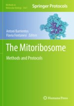 The Mitoribosome