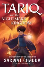 The Spiritstone Saga: The Spiritstone Saga Bk 3