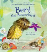 Bert, the Bowerbird