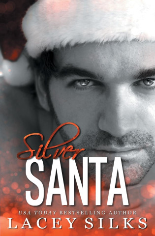 Silver Santa