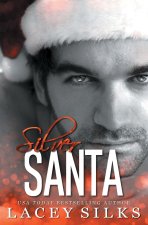 Silver Santa